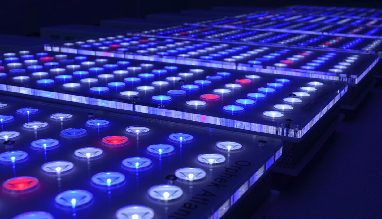 BIS breidt assortiment LED verlichting sterk uit